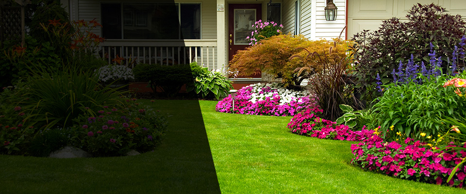 Linden Landscapers