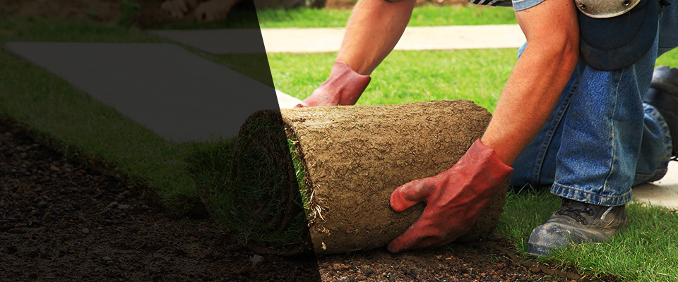 Linden Landscapers